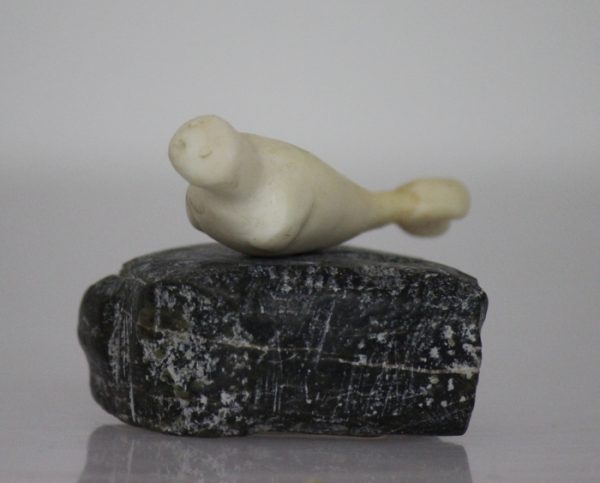 Ivory Seal by Unidentified