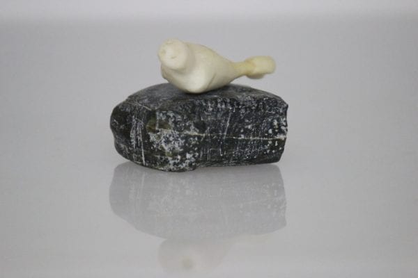 Ivory Seal by Unidentified