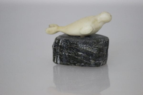 Ivory Seal by Unidentified