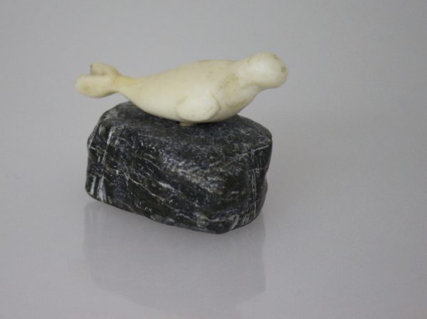 Ivory Seal by Unidentified