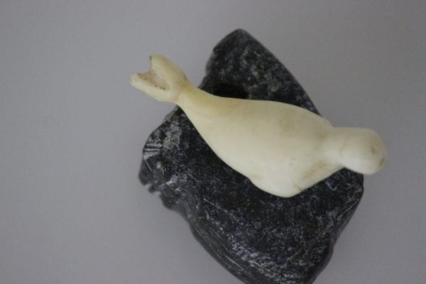 Ivory Seal by Unidentified