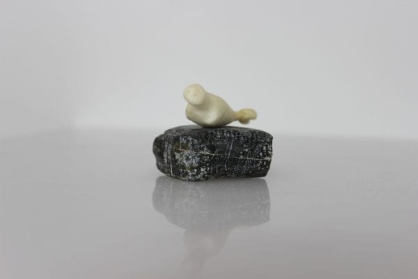 Ivory Seal by Unidentified