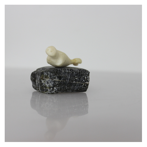 Ivory Seal by Unidentified