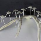 Flying Flock of Geese by Anon