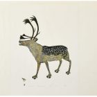 Print of Caribou by Lipa Pitsiulak from Pangnirtung