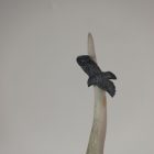 Bird "Fly Over" by George (Collins ?) from Happy Valley - Goose Bay