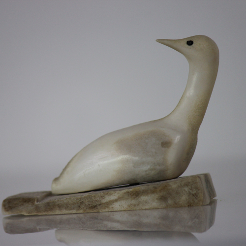 Bird by Maneelik from Spence Bay/Taloyoak