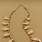 Polar Bear Teeth Necklace by Unidentified