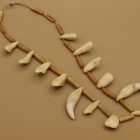 Polar Bear Teeth Necklace by Unidentified