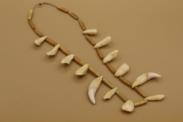 Polar Bear Teeth Necklace by Unidentified