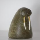 Tusked Walrus Head by Anon