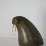 Tusked Walrus Head by Anon