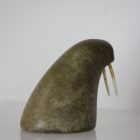 Tusked Walrus Head by Anon