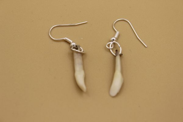 Teeth Earrings by Isabella Kridluar from Naujaat - Repulse Bay