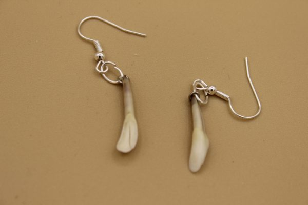 Teeth Earrings by Isabella Kridluar from Naujaat - Repulse Bay