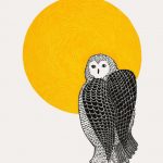 Sunlit Owl by Pee Ashevak from Cape Dorset's 2022 Print Collection