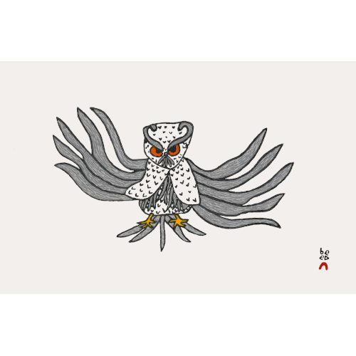 Almighty owl by Ooloosie Saila from the 2022 Dorset Print Collection