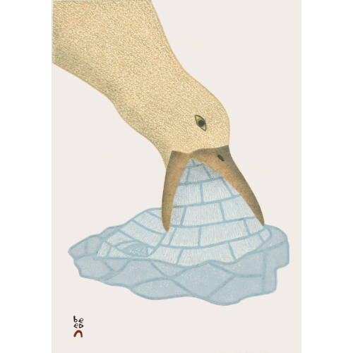 Icy Treat by Qavavau Manumie from the 2022Dorset Print Collection