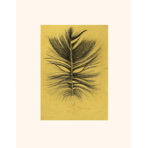 Feather by Padloo Samayualie from the 2022 Dorset Print Collection