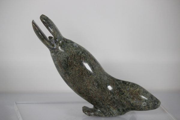 Seal by Ningeosiaq ashoona from Cape Dorset/Kinngait