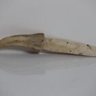 Whalebone Paper Knife by Unknown