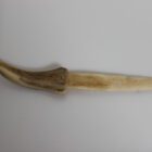 Whalebone Paper Knife by Unknown