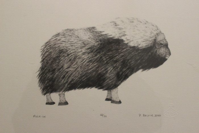 Muskox by Peter Palvik from Holman/Ulukhaktok