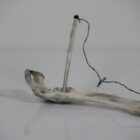 Ajagaq Game by Daniel Shimout from Coral Harbour - Salliq
