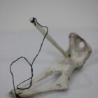 Ajagaq Game by Daniel Shimout from Coral Harbour - Salliq