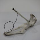 Ajagaq Game by Daniel Shimout from Coral Harbour - Salliq