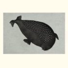 Natsiamini (Young Seal’s Coat) by Johnny Pootoogook from the 2024 Dorset Print Collection