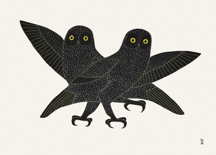 Ijingi Qaumajuuk (Bright Eyes) by Laina Geetah from the 2026 Dorset Print Collection