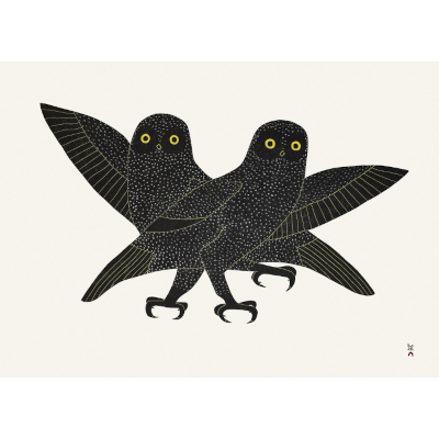 Ijingi Qaumajuuk (Bright Eyes) by Laina Geetah from the 2026 Dorset Print Collection