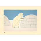 Nosy Bear by Qavavau Manumie from the 2026 Dorset Print Collection