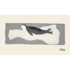 Tirillu (Young Bearded Seal) by ashley Qavavau from the 2026 Dorset Print Collection
