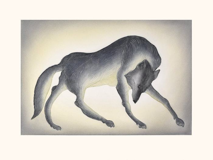 Impassioned Wolf by Quvianaqtuk Pudlat from the 2026 Dorset Print Collection