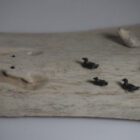 Bear, Seal and Birds by Cain Irqqarsaaaq from Igloolik