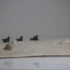 Bear, Seal and Birds by Cain Irqqarsaaaq from Igloolik