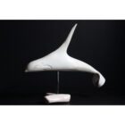Killer Whale by Johnny from Pond Inlet