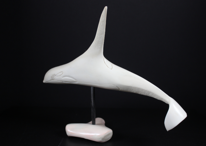 Killer Whale by Johnny from Pond Inlet