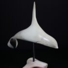 Killer Whale by Johnny from Pond Inlet