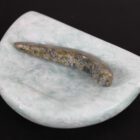 Kudliq by Tapaungai Qatsiya from Cape Dorset-Kinngait