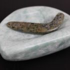 Kudliq by Tapaungai Qatsiya from Cape Dorset-Kinngait