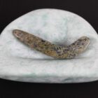 Kudliq by Tapaungai Qatsiya from Cape Dorset-Kinngait