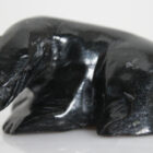 Bear by Pee Qinnuajuaq from Cape Dorset - Kinngait